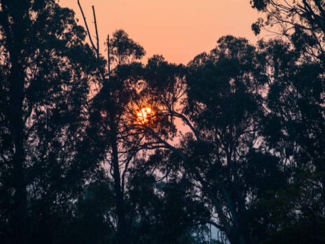 Insurers face up to $13bn in costs from California wildfires Insurers face up to $13bn in costs from California wildfires