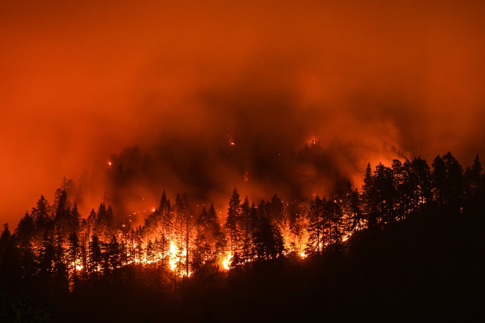 wildfire risk model