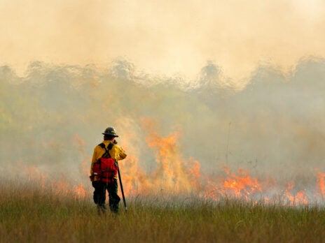Cape Analytics introduces AI-based space solution for wildfire risk Cape Analytics introduces AI-based space solution for wildfire risk