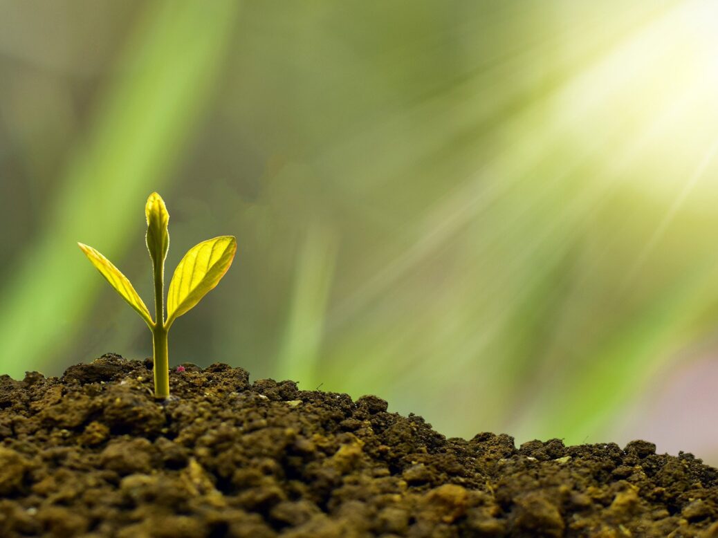 MassMutual, net zero commitments