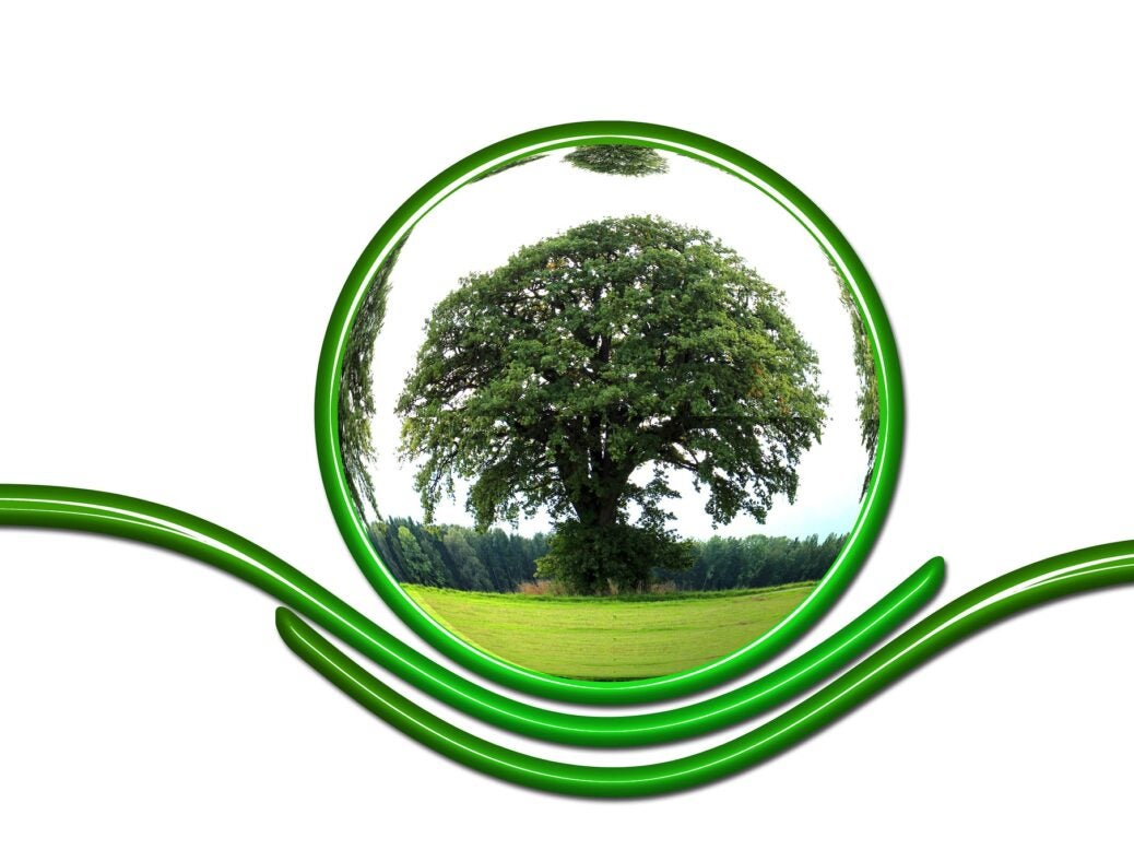 Travelers, carbon neutral