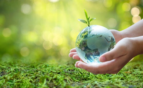 SMEs value sustainability – but not when it comes to choosing insurers