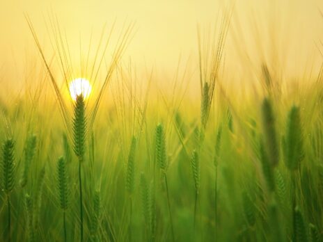 Lemonade launches crypto coalition to offer climate insurance Lemonade launches crypto coalition to offer climate insurance